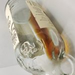 dui georgia